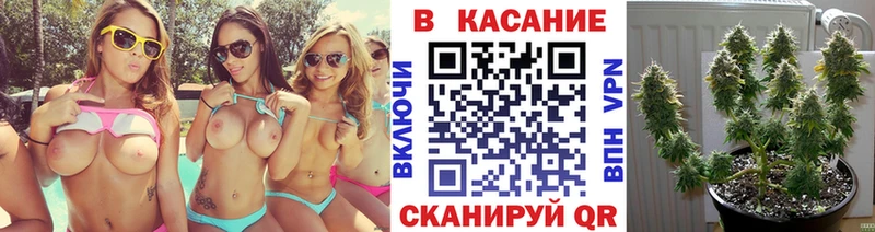 Наркошоп купить Кокаин  Codein  ГАШ  Бошки Шишки  Мефедрон  Карачаевск