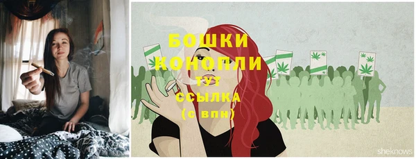 спиды Вязьма