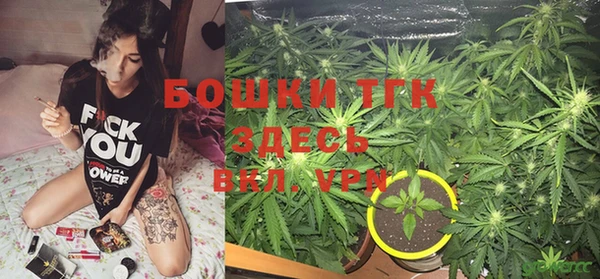 mdpv Вяземский