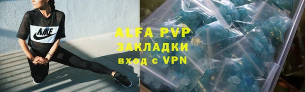 сатива Горнозаводск
