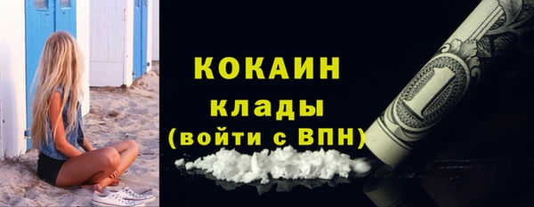 mdpv Вяземский
