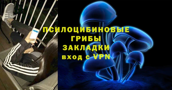 mdpv Вяземский