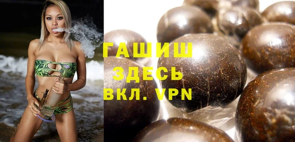 сатива Новозыбков