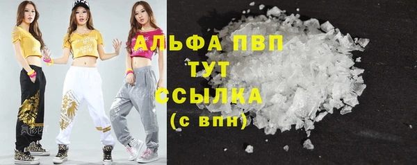 спиды Вязьма