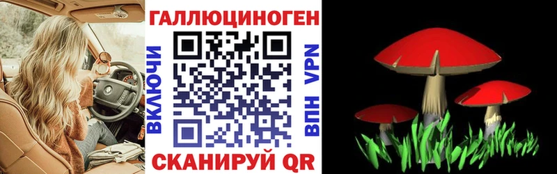 Псилоцибиновые грибы мухоморы  Купить где  Карачаевск 
